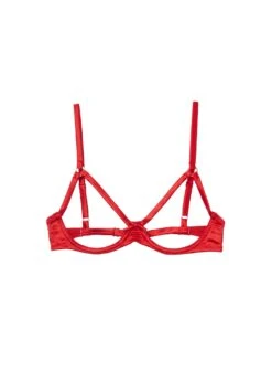 Fleur Du Mal Luxe Ouvert Bra -Fleur du Mal luxeouvertrougeflat1