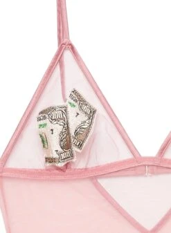 Fleur Du Mal Big Spender Embroidery Bodysuit 15 Fleur Du Mal Big Spender Embroidery Bodysuit -Fleur du Mal moneybodysuitpinkflat2